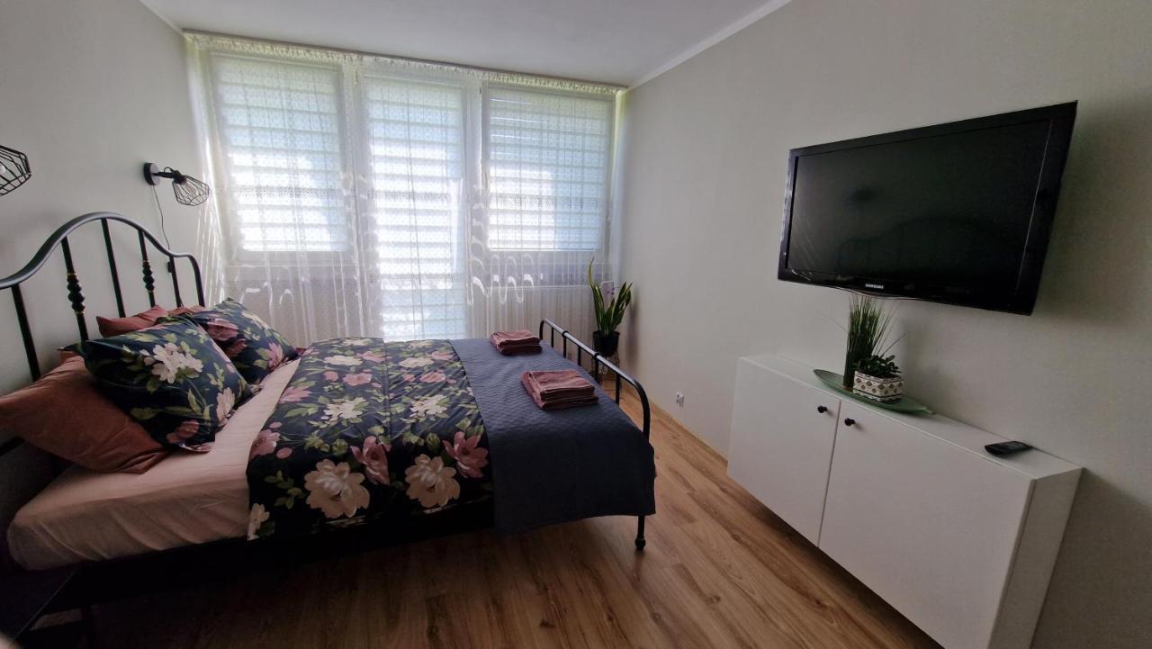 Appartamento Apartament Spoko-Loko Stronie Śląskie Esterno foto