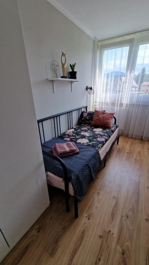 Appartamento Apartament Spoko-Loko Stronie Śląskie Esterno foto